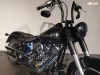 Harley-Davidson FLSTF Thumbnail 4